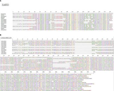 In Silico, Molecular Docking and In Vitro Antimicrobial Activity of the Major Rapeseed Seed Storage Proteins